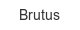 Brutus brutus