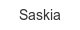 Saskia saskia