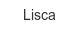 Lisca lisca