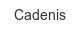 Cadenis cadenis