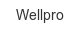 wellpro