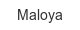 Maloya maloya