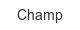 Champ champ