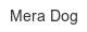 Mera Dog mera-dog