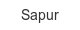 Sapur sapur