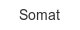 Somat somat