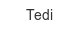 Tedi tedi