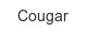 Cougar cougar