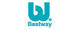 Bestway bestway
