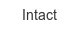 Intact intact
