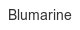 Blumarine blumarine