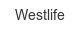 Westlife westlife