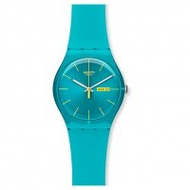 Swatch-turquoise-rebel