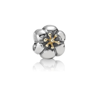 Pandora-bead-sterling-79184