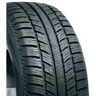 Bf-goodrich-165-65-r14-winter-g