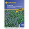 Kiepenkerl-pflanzenzuechtung-phacelia-1-kg