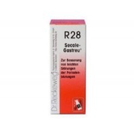 Dr-reckeweg-co-secale-gastreu-r28