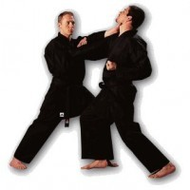 Adidas-karate-anzug-bushido