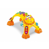 Fisher-price-2-in-1-loewen-spielbogen