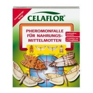 Celaflor-pheromon-falle-fuer-nahrungsmittelmotten