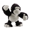 Nici-32398-gorilla
