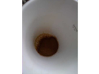 Jacobs-espresso-pulver