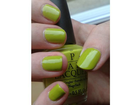 Opi-who-the-shrek-are-you