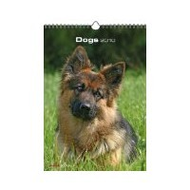 Hunde-kalender