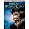 American-werewolf-dvd-horrorfilm