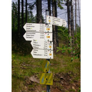 Titisee-wegweiser-auf-dem-hochfirst