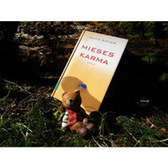 Mieses-karma-david-safier