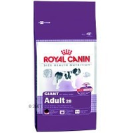 Royal-canin-giant-adult-28