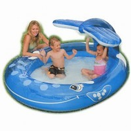 Intex-sprueher-pool-wal