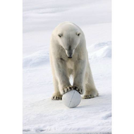 Die-schneeball-cam-im-belastungstest