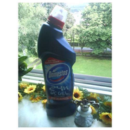 Domestos-24h-wc-gel-ocean-fresh