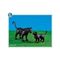 Playmobil-7747-schwarze-panther