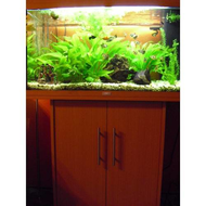 Mein-aquarium