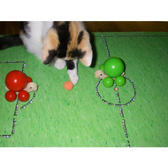 Katze-spielt-mit