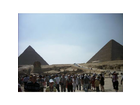 Die-sphinx-und-die-pyramiden-von-giseh