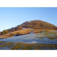 Blick-von-der-halbhoehenlage-auf-die-kuppe