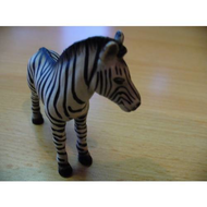 Zebrafohlen