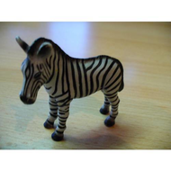 Zebrafohlen