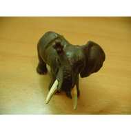 Asiatischer-elefantenbulle