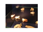 Neanderthal-museum-mettmann