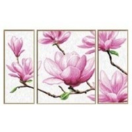 Schipper-magnolien