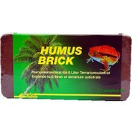 Hoch-terrarium-humus-ziegel