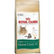 Royal-canin-maine-coon-31-4-kg