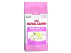 Royal-canin-babycat-34-2-kg