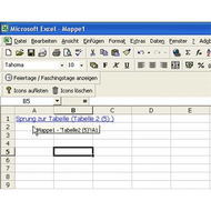 Screen-shot-zur-schnellen-navigation-in-ms-excel-tabellenblaettern