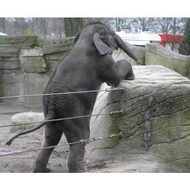 Tierpark-hagenbeck